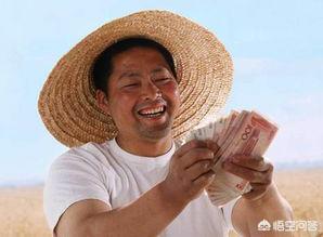 你认为当前“三农”问题,最需要被关注的是什么？