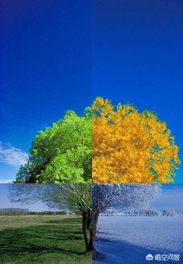 头条问答 - 上联:四季轮回,每轮都是春为首;不计年月,哪是首来哪是尾?