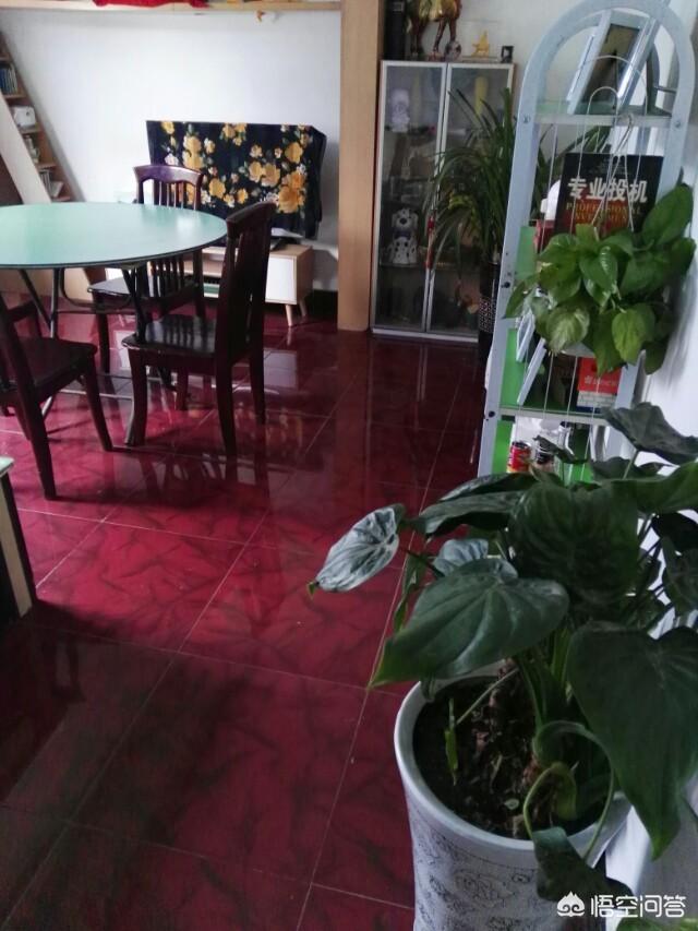 爱狗网论坛怎么关:一个爱狗人士，一个国足，一个搞传销的关在一个屋里会发生什么？