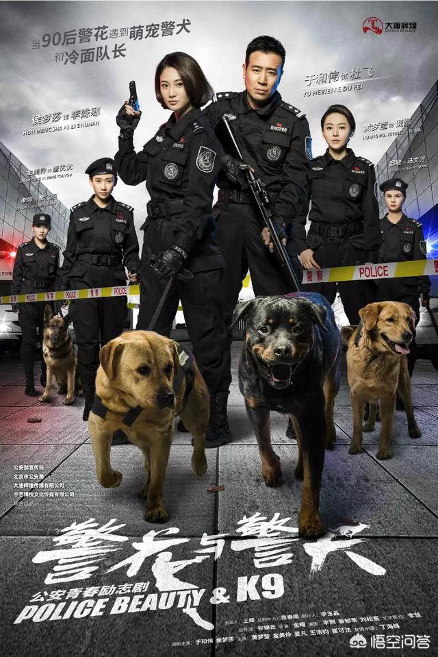 警花与警犬:如何评价电视剧《警花与警犬》？为何被频频吐槽？