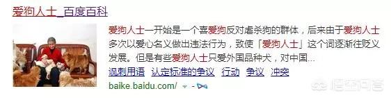 拦车救狗辩论:流浪狗的产生是谁的错？应该怎么处理最合适呢？ 拦车救狗事件