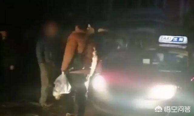 拦车救狗辩论:流浪狗的产生是谁的错？应该怎么处理最合适呢？ 拦车救狗事件