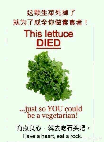 玉林荔枝狗肉节由来:广西玉林狗节能被取消吗？