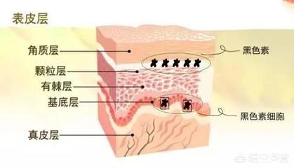 头条问答 为什么伤口结痂会痒 前言快讯的回答 0赞