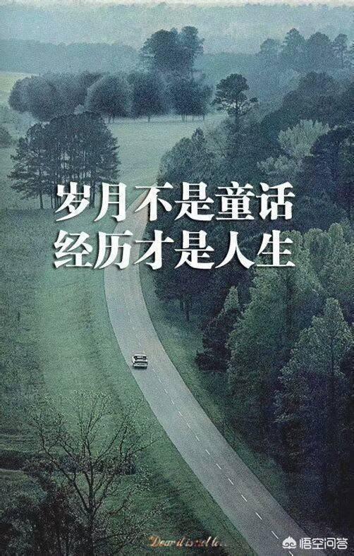 狗护食 咬主人:如何理解“把真心喂狗，狗还会咬你一口”？