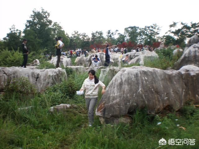 微信网名独特:你用过哪些现在看来非常奇葩的网名