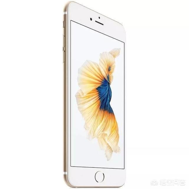 苹果6是不是即将要被淘汰了？插图29