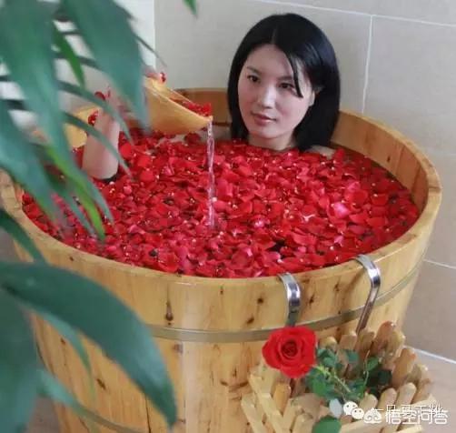 坑人的友鑫宠物托运:你买过最后悔的一件东西是什么？