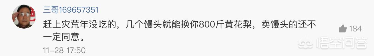 秋田犬八千電影趨勢:地摊经济和月薪8000，你会如何选择？