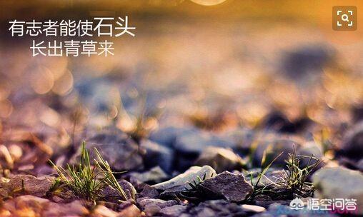 初三學生學習不好，快中考了，該怎么把成績提高上去