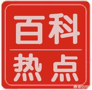 诺基亚直板威图现在到底值多少？