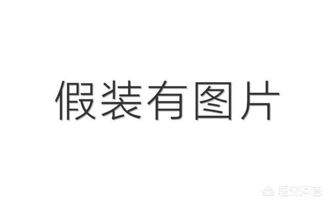 向井理:陌生人，可以推荐一部你喜欢的日剧吗？
