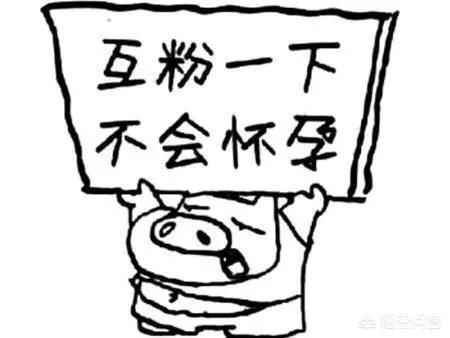 经期能喝普洱茶吗(女性喝普洱茶的好处)