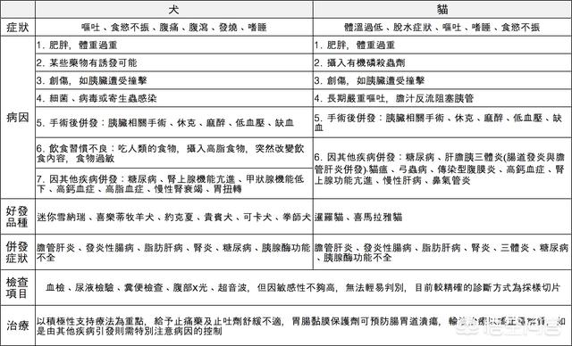 猫得了败血症能治好吗:猫咪生病了，花很多钱治病应该吗？