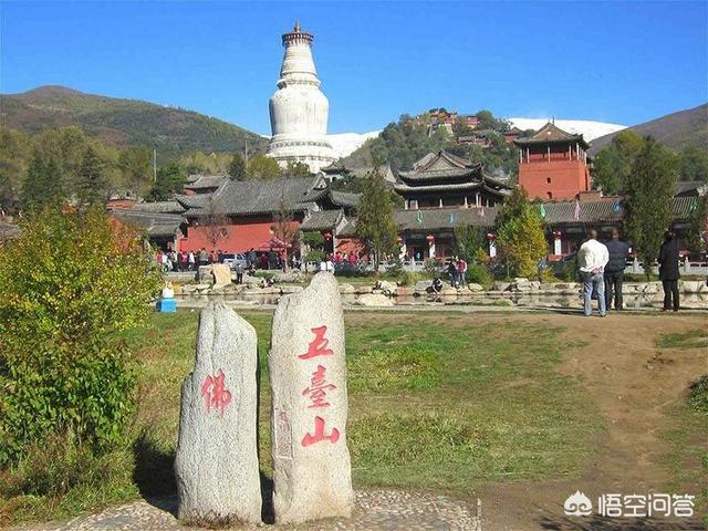 哪些明星来过忻州五台山？
