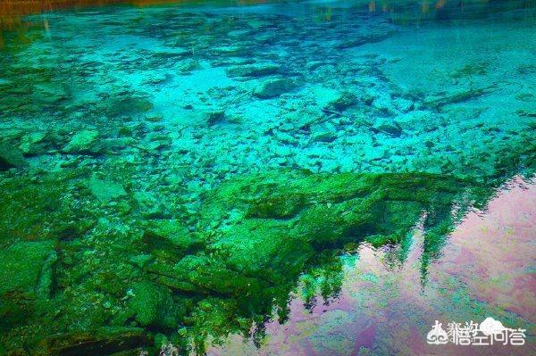 九寨沟旅游心得(九寨沟周边游玩攻略)