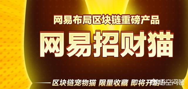 安徽区块链，安徽财经大学有金融科技专业吗