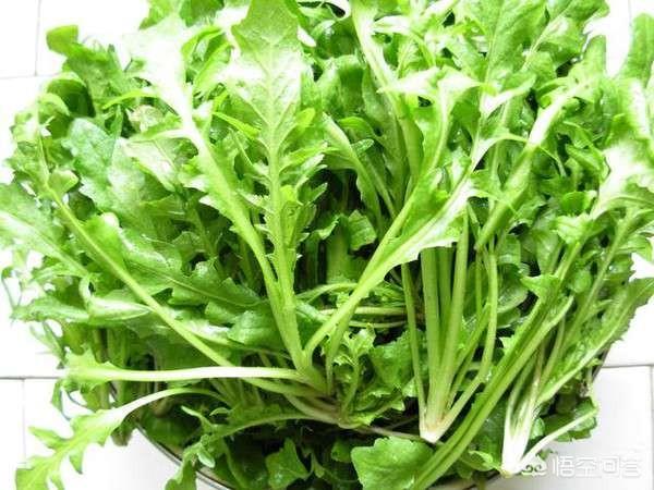 头条问答 - 荠莱跟什么包饺子香?(33个回答)