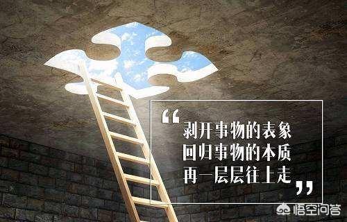 同事之间为什么总是各怀鬼胎？