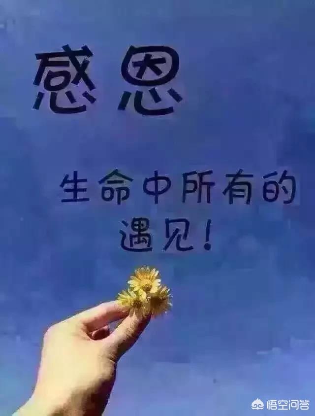狗护食 咬主人:如何理解“把真心喂狗，狗还会咬你一口”？