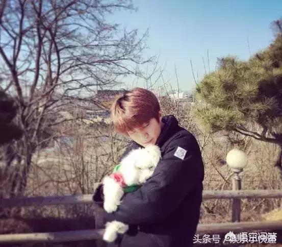明星宠物狗图片大全:你觉得哪个明星和他的狗狗是真爱，而不是人前博眼球？