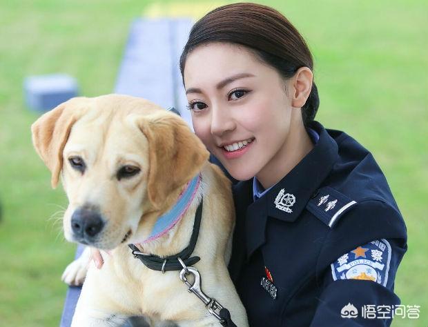 美国爱斯基摩犬价格:爱斯基摩犬阿拉斯加的区别 【狗年说狗】盘点历史上著名萌犬？