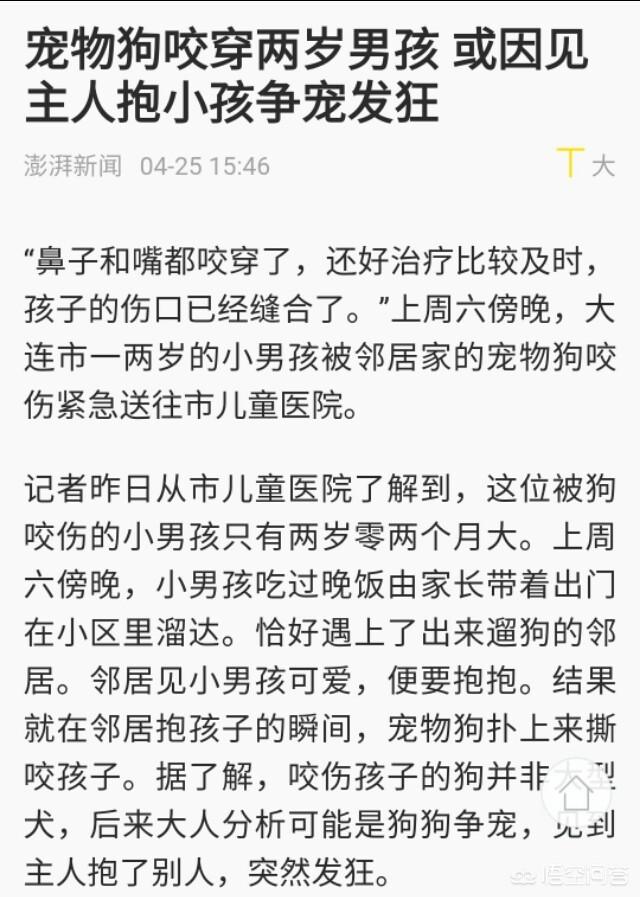 小姐与流浪狗44:一个人住的女生都经历过什么恐怖的事情？ 小姐与流浪狗 迪士尼