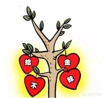 沈阳环卫工捡到8000元购物卡，连续10天苦寻失主，对此你怎么看？