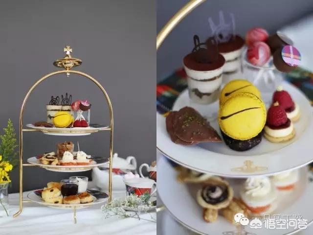 坑人的友鑫宠物托运:你买过最后悔的一件东西是什么？