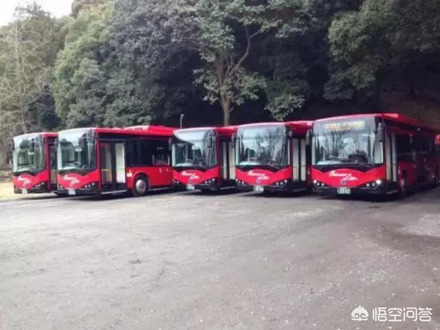 比亚迪和特斯拉到底差距在哪里？插图2