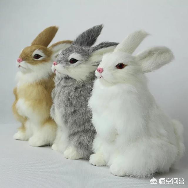 宠物玩具 hs:想问一下此宠物玩具的品牌？ 宠物玩具hs编码