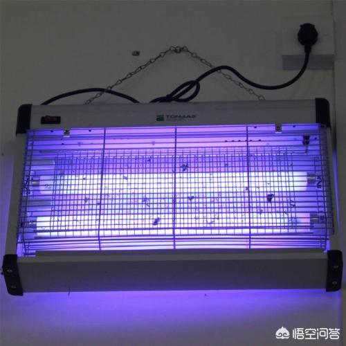 早餐店苍蝇太多怎么消灭最好:早餐店苍蝇太多怎么消灭 如何杀死公共场所的苍蝇？