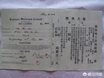 救助犬的遗言完整版:朋友救助流浪狗缺钱找我“献爱心”，婉拒后导致友尽，我错了吗？