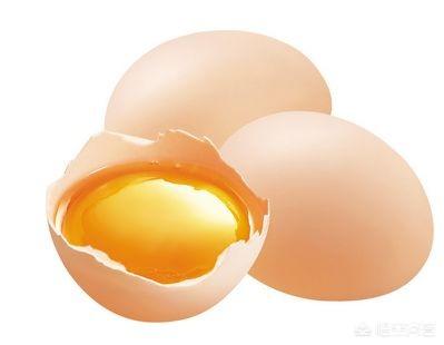 鸡蛋到底是荤菜还是素菜，鸡蛋和牛奶这两种美味是荤还是素