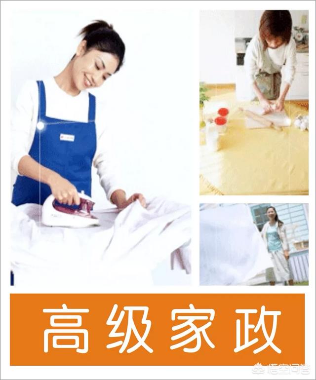 家政公司如何起步？可以包含哪些服务？
