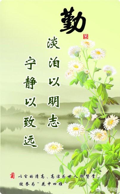 淡泊明志,宁静致远,你们做到了吗？