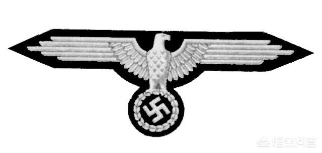 新纳粹徽章图片