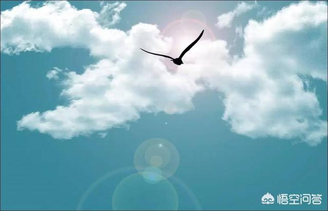 头条问答 人生没有目标没理想 喜欢一个人在家 觉得人生没有什么意义 该怎么办 15个回答