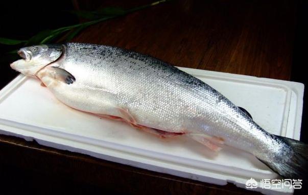 头条问答 - 美国的转基因三文鱼开始在公开市场上销售,你会去买来吃吗