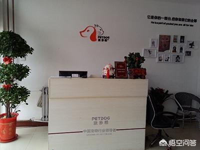 新手应该如何开一家宠物店:创业之初怎么开好一家宠物店？