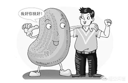 大便不成形粘马桶:不大便不成形，舌苔黄腻是因为什么？