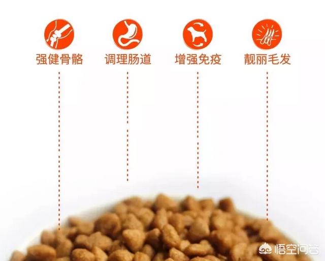 狗宠物零食加工:如何为狗狗选择健康零食？ 宠物零食加工流程