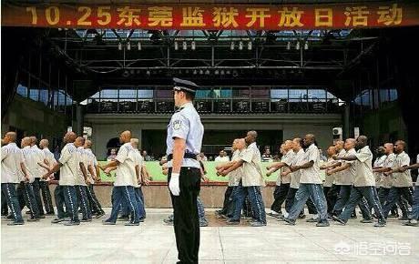 三元里:求广州三元里村改造方案？