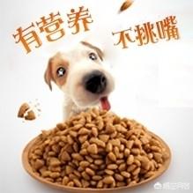 狗狗湿粮哪个牌子好:你家狗狗吃的哪个牌子的狗粮？