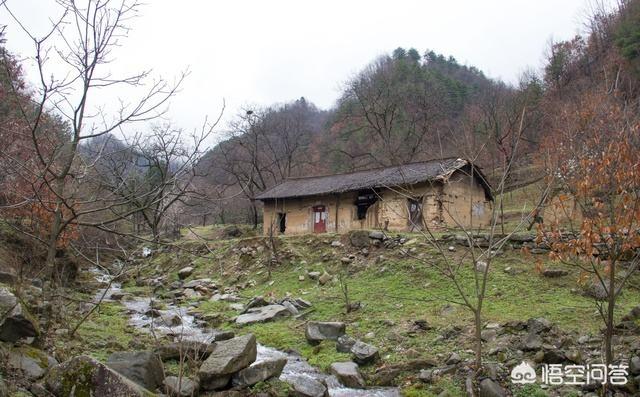 广西十万大山深山里那么困难,老百姓为什么不愿意搬出山外生活？