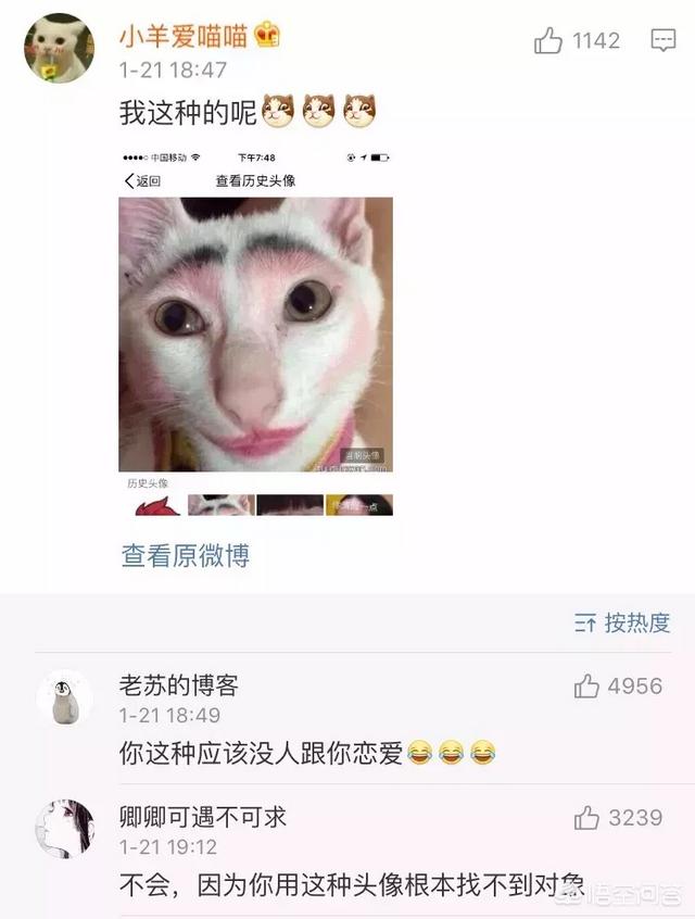 微信可爱狗狗头像:那些用猫猫狗狗做头像的人是什么心态？