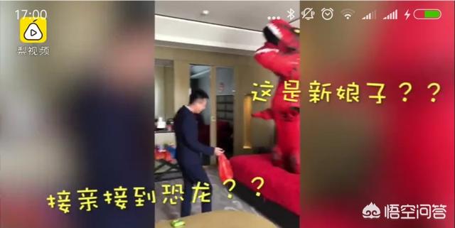 杨海润:如何看待新郎接新娘接到超萌恐龙？