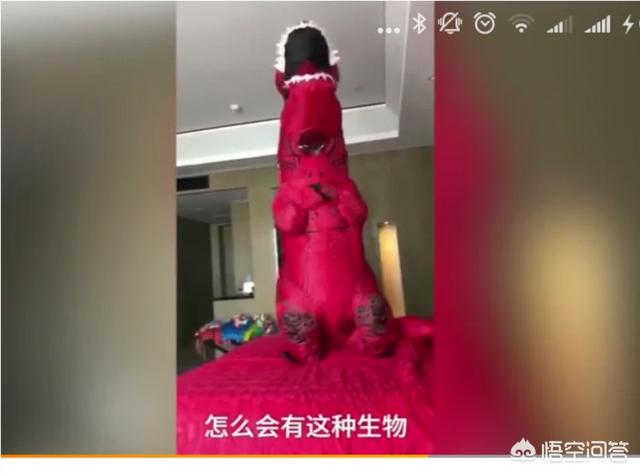 杨海润:如何看待新郎接新娘接到超萌恐龙？