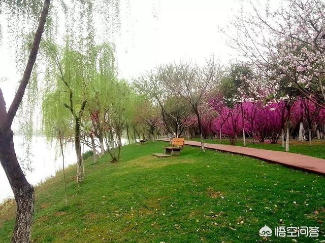 南京<a href=https://maguai.com/list/52-0-0.html target=_blank class=infotextkey>旅游</a>集团官网:南京<a href=https://maguai.com/list/52-0-0.html target=_blank class=infotextkey>旅游</a>职业学院怎么样？
