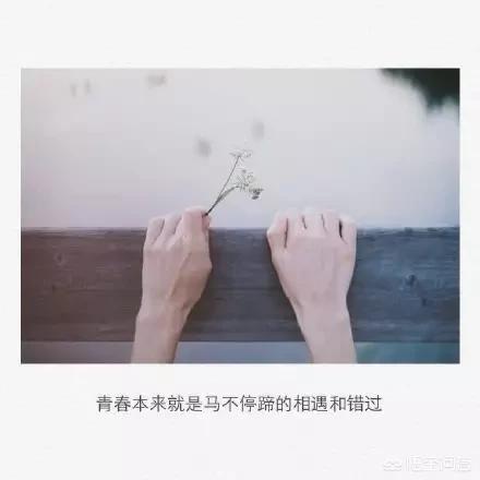 简单治愈的句子:你有哪些喜欢的句子想要分享吗？